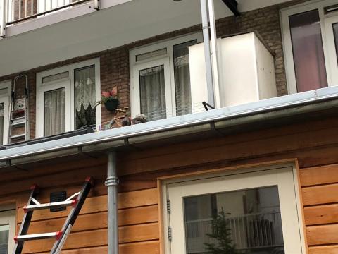 John Franklinstraat